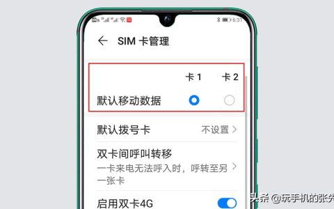 如何有效管理双卡iPhone的流量使用？ 如何有效管理双卡iphone的流量使用情况呢