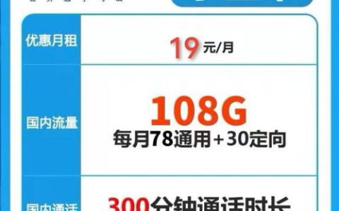 19元100流量卡电信？霸王卡无限流量卡多少钱一个月